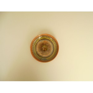 Farfurie Traditionala 19-22